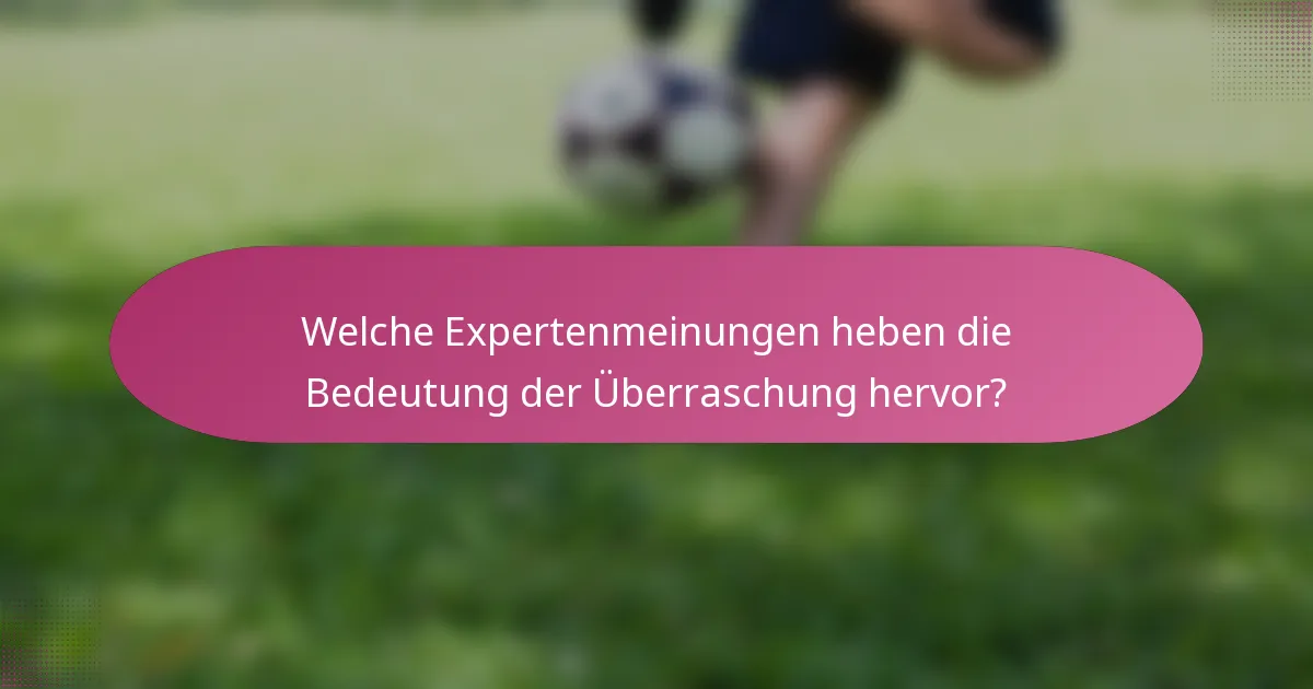 Welche Expertenmeinungen heben die Bedeutung der Überraschung hervor?