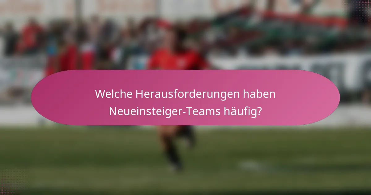 Welche Herausforderungen haben Neueinsteiger-Teams häufig?
