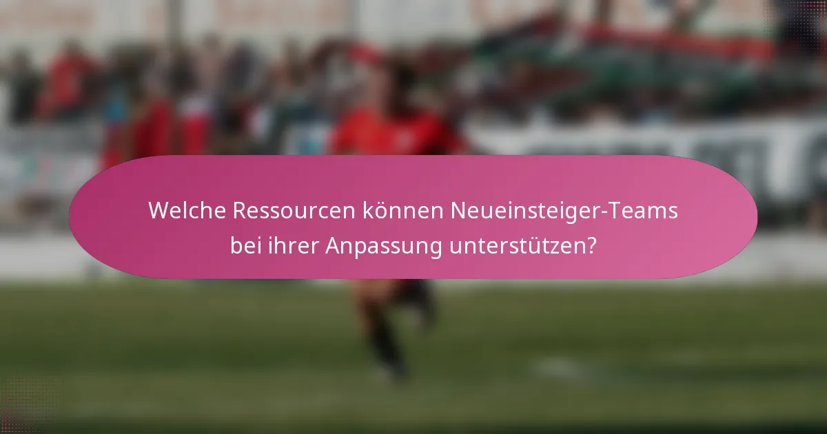 Welche Ressourcen können Neueinsteiger-Teams bei ihrer Anpassung unterstützen?