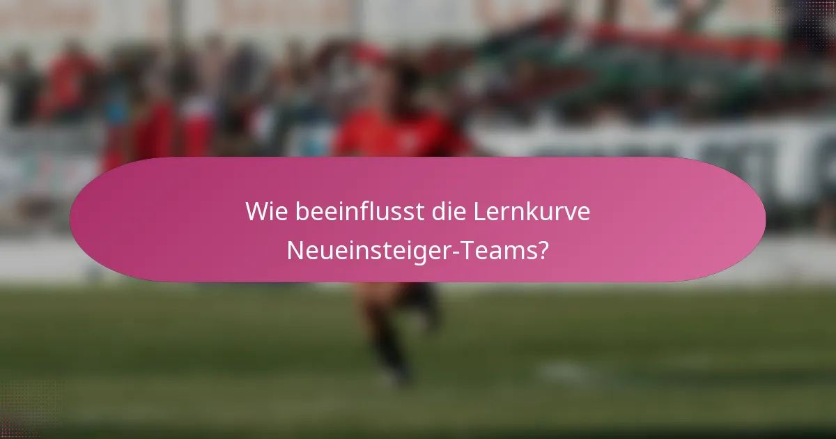 Wie beeinflusst die Lernkurve Neueinsteiger-Teams?