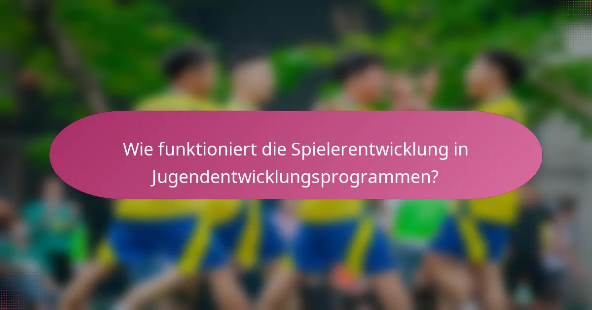 Wie funktioniert die Spielerentwicklung in Jugendentwicklungsprogrammen?