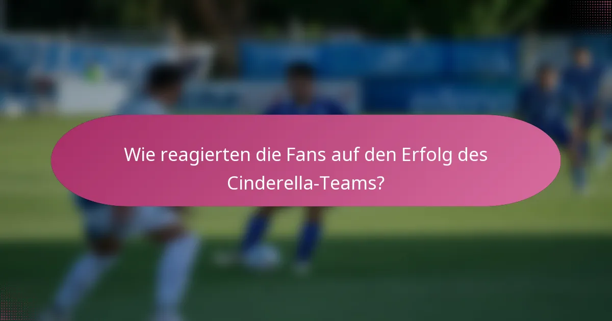 Wie reagierten die Fans auf den Erfolg des Cinderella-Teams?